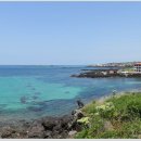 제주 올레길 19코스 이미지