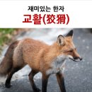 &#34;교(狡)&#39;와 &#39;활(猾)&#34; 한자의 기원 이미지