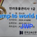 양평애견택시 이미지