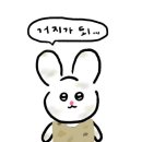 w1. 플래너 계약-플래너 생각 없었던 예신이 동행플래너 계약한 이유!(광고X), 스드메 계약
