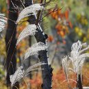 미사호수공원 이미지