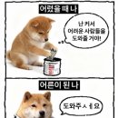 케이크바이케이크 이미지