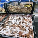 영덕식당 | 🦀 포항 죽도시장 맛집 갈릴리대게회식당, 영덕대게세트 2인 푸짐했던 후기