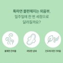 이너퍼퓸 여성청결제로 소문난 &#34;질경이&#34; 신제품 그린 모스 폼 워시 &amp; 그린 모스 페미닌 미스트 사용 후기