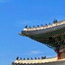 광장1길 이미지