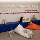 플라이투더뭉 이미지