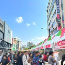 강원감영 | 2025 원주 만두축제 후기 (송가인, 박명수, 강원감영 가을꽃축제)