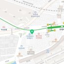 도로시펫 강아지고양이 부산점 네이버블로그