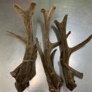 국산한의원 이미지