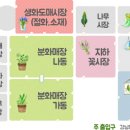 양재시장 이미지