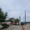 지내고탄로 | 춘천 반려동물 가족들과 가을엔 핑크뮬리가 있는 대형카페 2025년 유기농카페 내돈내산 솔직후기