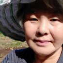 홍천애플비발디파크 네이버블로그