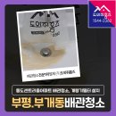동도 | 부평 수도배관청소 후기, 부개동 동도센트리움아파트 샤워기필터가 갈색으로 변하는 이유