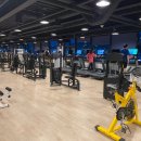 포레스포 이미지