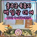 인후3동-01(인후3동주민센터) | 울주군 육아종합지원센터 [백일상] 무료대여 후기