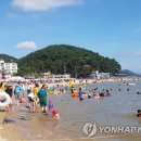 시청 제1별관7 이미지