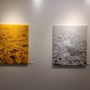 하얀고래미술교습소
