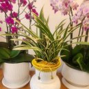 한성대농장 이미지