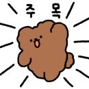 크레도펜션 이미지