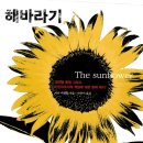 해바라기의꿈 이미지