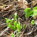 백양산 등산로 이미지