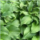 햇살빌딩 이미지