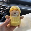 라라건어물
