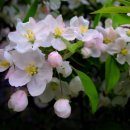 꽃보다아름다운당신 이미지