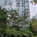 수락산자연공원 이미지