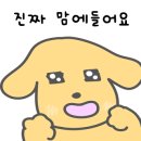 진황제돼지찌개 이미지