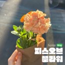 안개2길 | 신사 무인꽃집 피스오브플라워 후기 :: 가로수길 3송이 9,900원 셀프 꽃다발, 기념일 선물