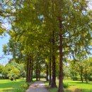 성호어린이공원 이미지