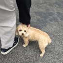 cu원주우산플러스점 | 치악산뷰의 아름다움을 느낄 수 있는 원주독채펜션 '힐링포레스트'