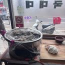 태양순대국밥 이미지