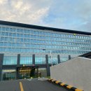 스탠포드 사우나 이미지