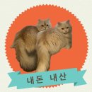 잔다냥 이천점 이미지