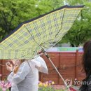 강풍 이미지