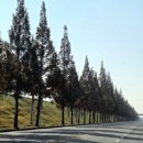 오부초등학교 이미지