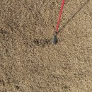 여주-0555 | [공지] 빅토리아 골프클럽 봄 라운딩 후기⛳️3월 골프장 잔디 상태.좋았던점과 아쉬운점까지!