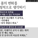 이안마케팅주 이미지