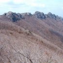 깃대봉_숲길(등산)1코스 이미지