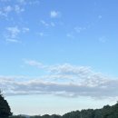 동코스5번 이미지