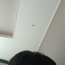 머리살리기