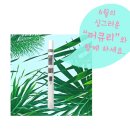 머큐리 전자담배 이미지