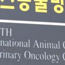 퍼스동물병원 이미지