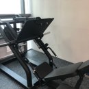 머슬원핏 이미지