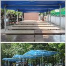 오림피아 수영장 이미지