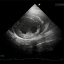 해피동물병원 이미지