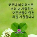 원미삼천리 이미지