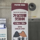 (사)열린정보장애인협회 | 가낳지모 캣페어 등록 후기 코엑스
